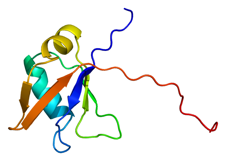 Structure of the TARDBP protein