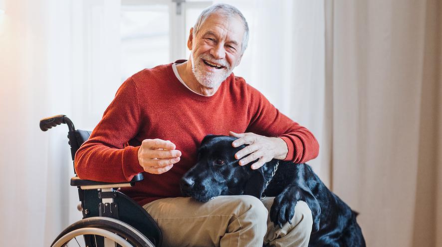man in wheelchair and his dog