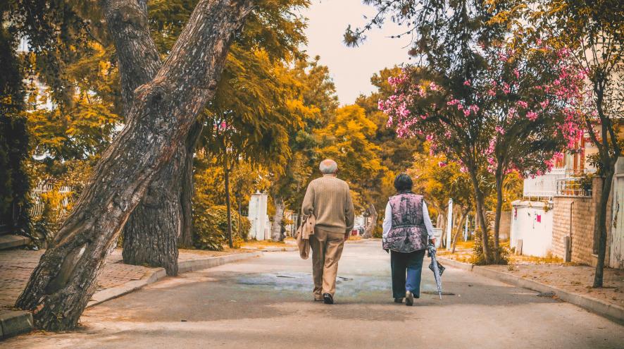 An elderly man and woman walking down a road lined with trees.