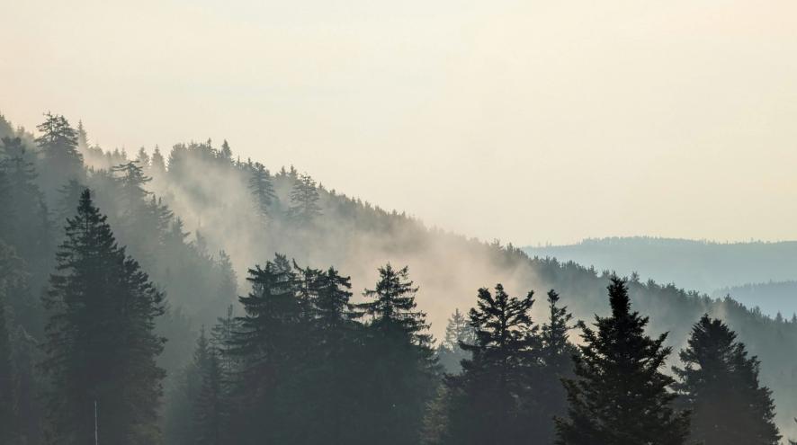 forest and mountains wildfire smoke
