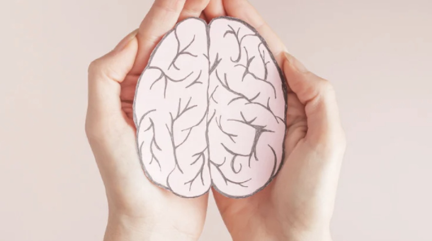 A person holding an image of a brain
