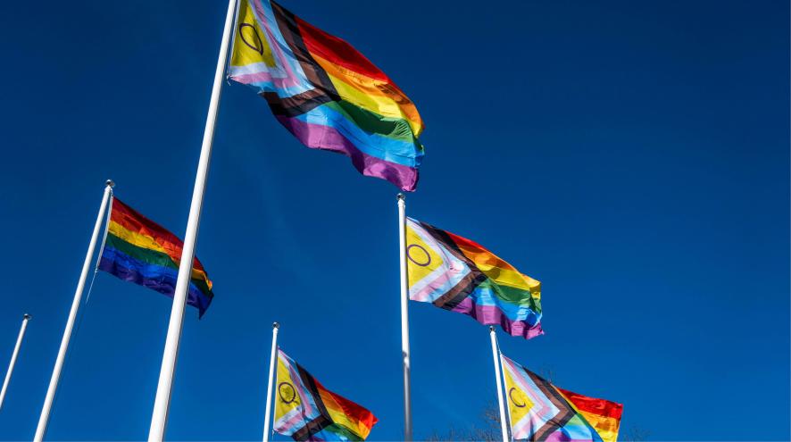 Photo of Pride flags