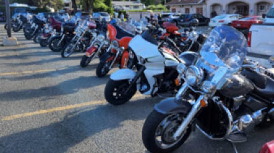 Different brands of motorcycle's lined up in a row side by side in a sunny parking lot