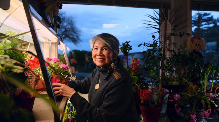 A woman tends to colourful flowering plants in a solarium.