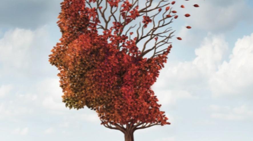 a tree, shaped like a face, with leaves blowing off the top section