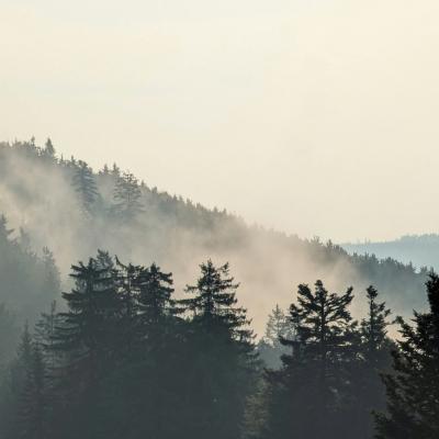 forest and mountains wildfire smoke