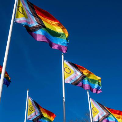 Photo of Pride flags