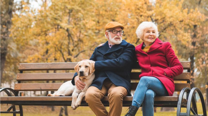 A mature couple sits on a park bench with their golden retriever. Fall foliage in the background.