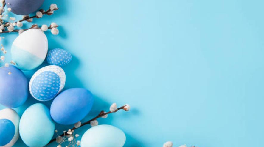 blue eggs photo