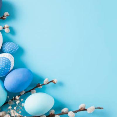 blue eggs photo