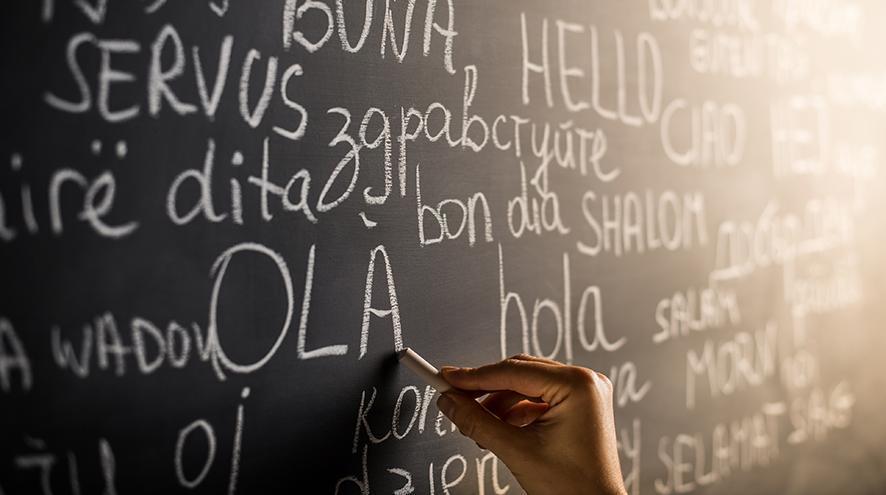 Writing on a chalkboard in different languages