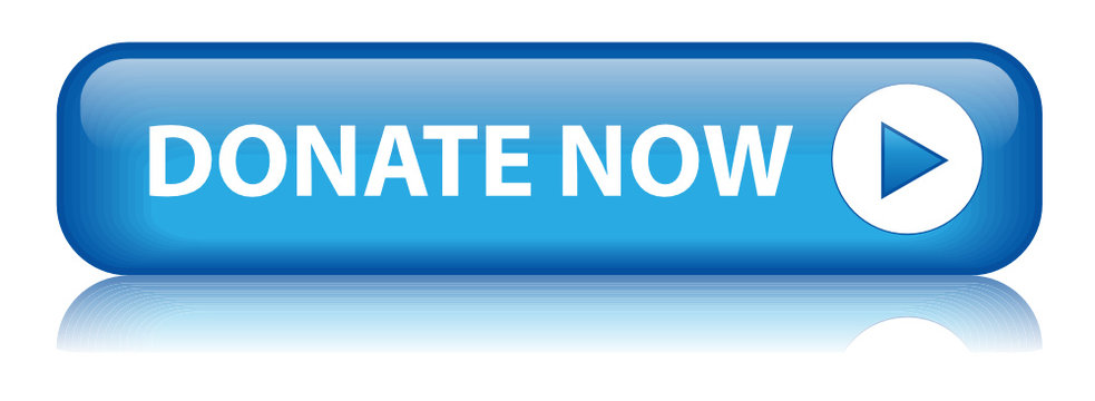 Donate Button