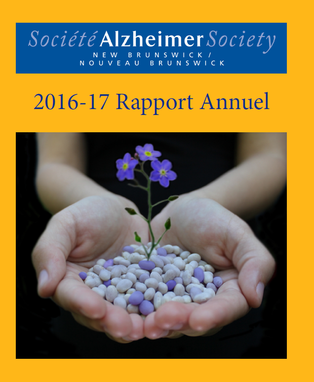 Page de couverture du rapport annuel 2016-2017