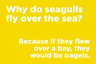 Seagull Joke