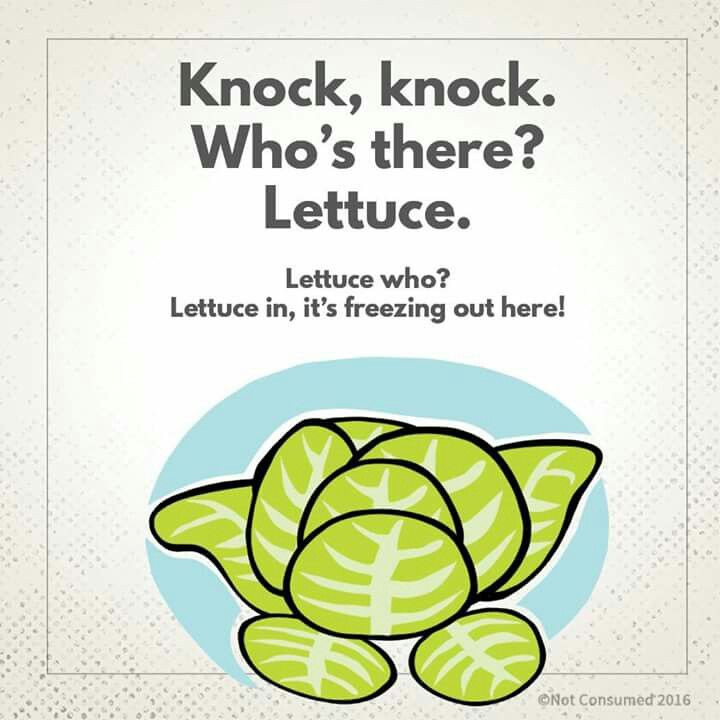 Knock, knock. Who's there? Lettuce. Lettuce who? Lettuce in, it's freezing out here!
