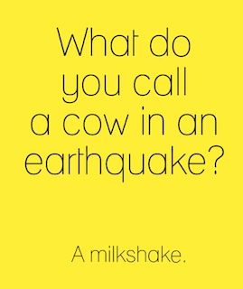 What do you call a cow in an earthquake? A milkshake.
