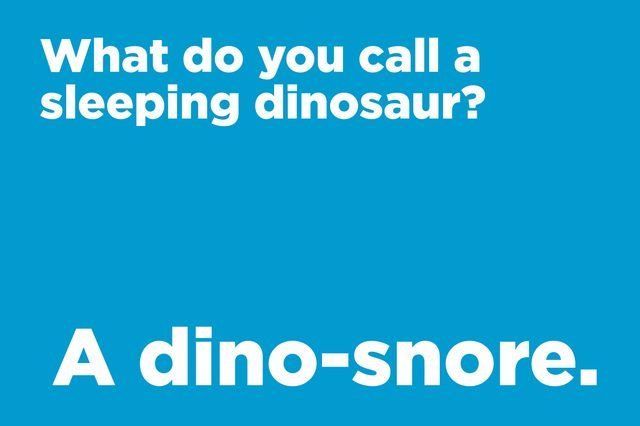 What do you call a sleeping dinosaur? A dino-snore.