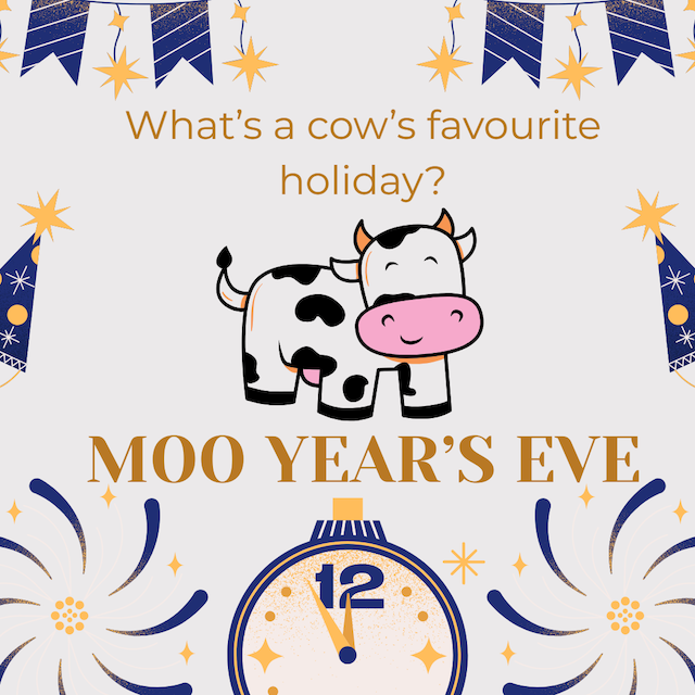 What's a cow's favourite holiday? Moo Year's Eve