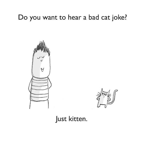 Do you want to hear a bad cat joke? Just kitten.