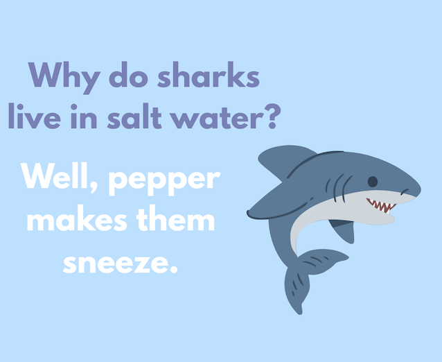 Why do sharks live in salt water? Well, pepper makes them sneeze.