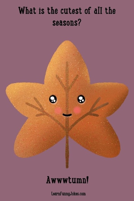 What is the cutest of all the seasons? Awwwtumn!