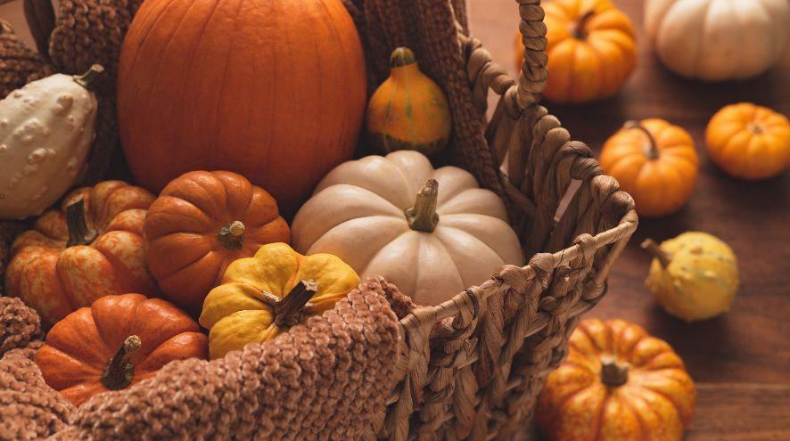 pumpkins in a basket