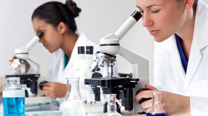 Researchers looking through a microscope