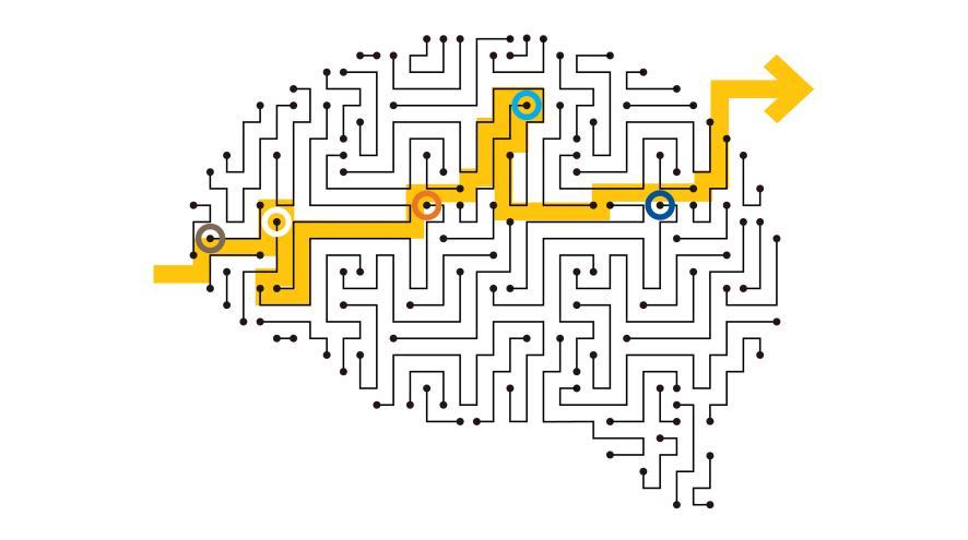 Brain Maze