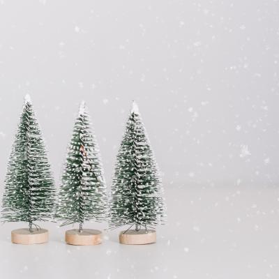 Three small trees with snow