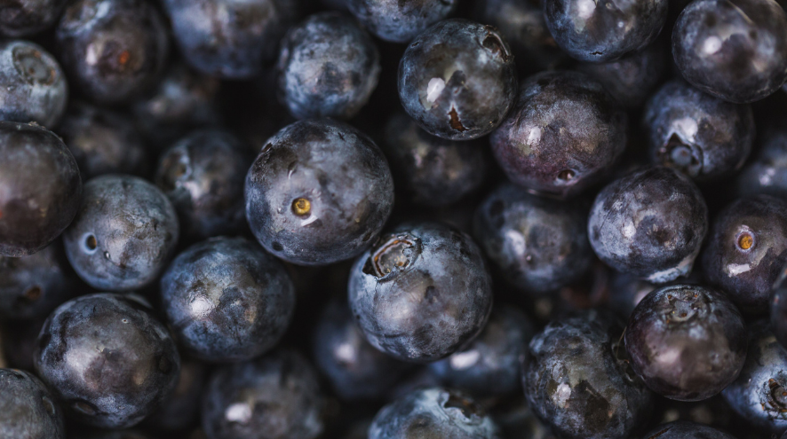 A photo of blueberries.