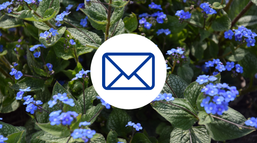 Envelope on a background of forget-me-nots