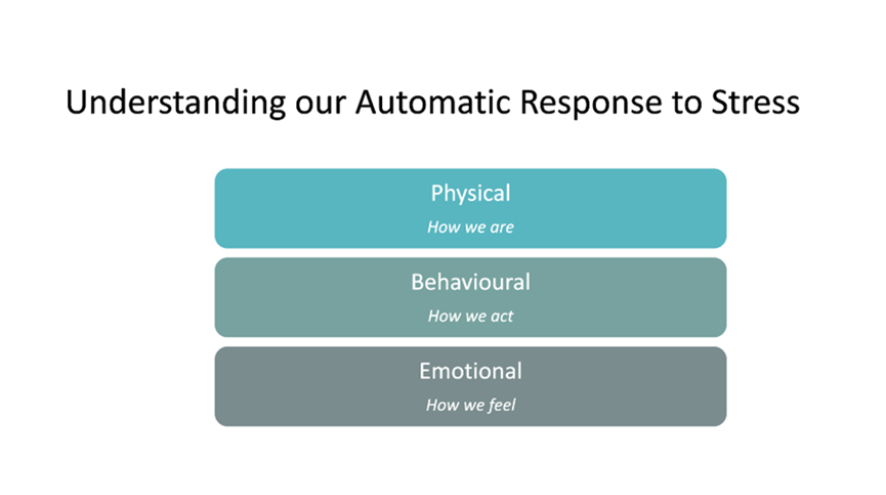 Understanding Our Automatic Response to Stress