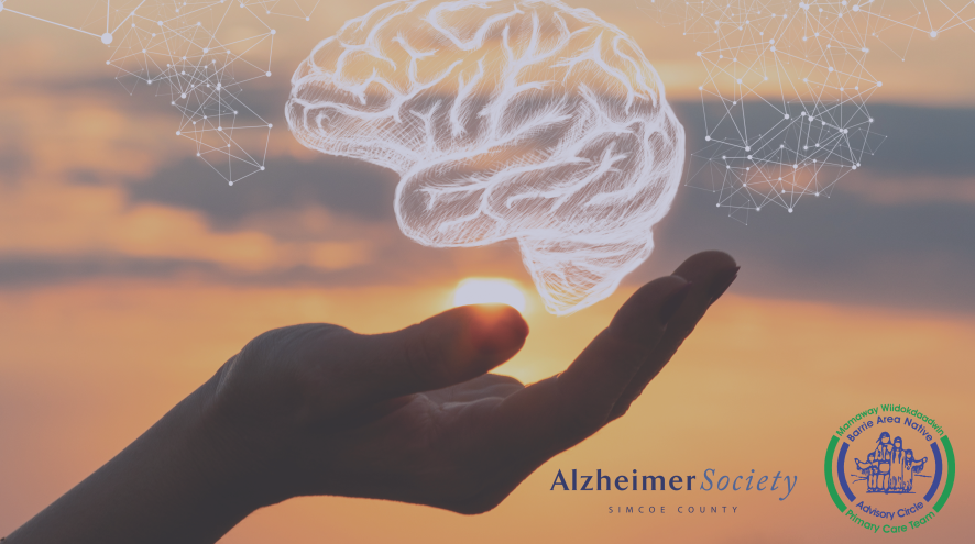 palm holding highlighted brain