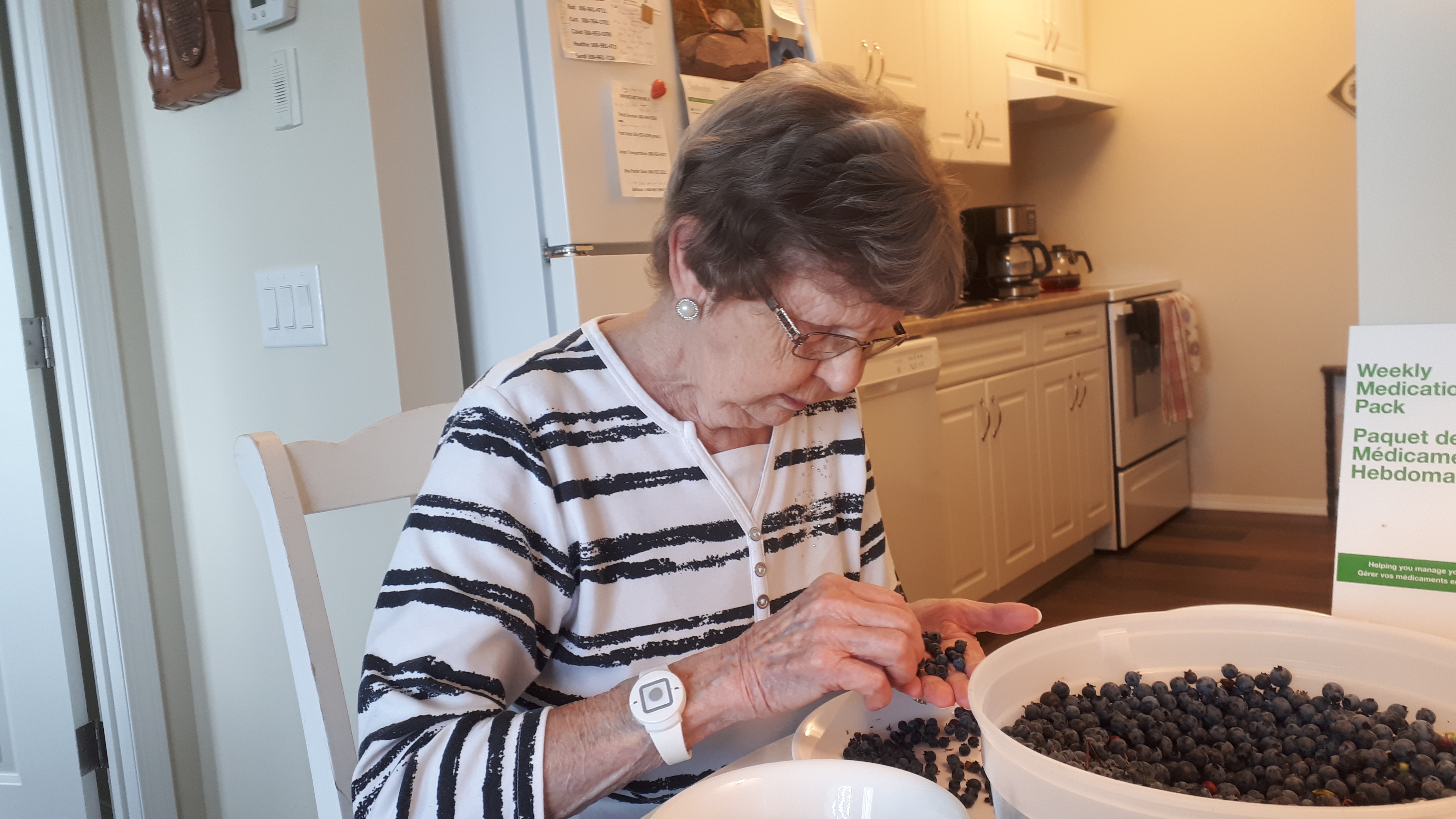 Pearl picking out blueberries for a pie.