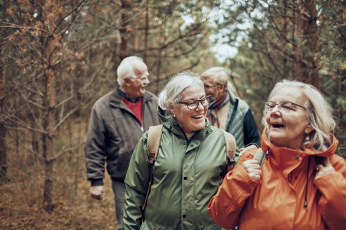 Group of smiling seniors on an autumn hike through a forest.