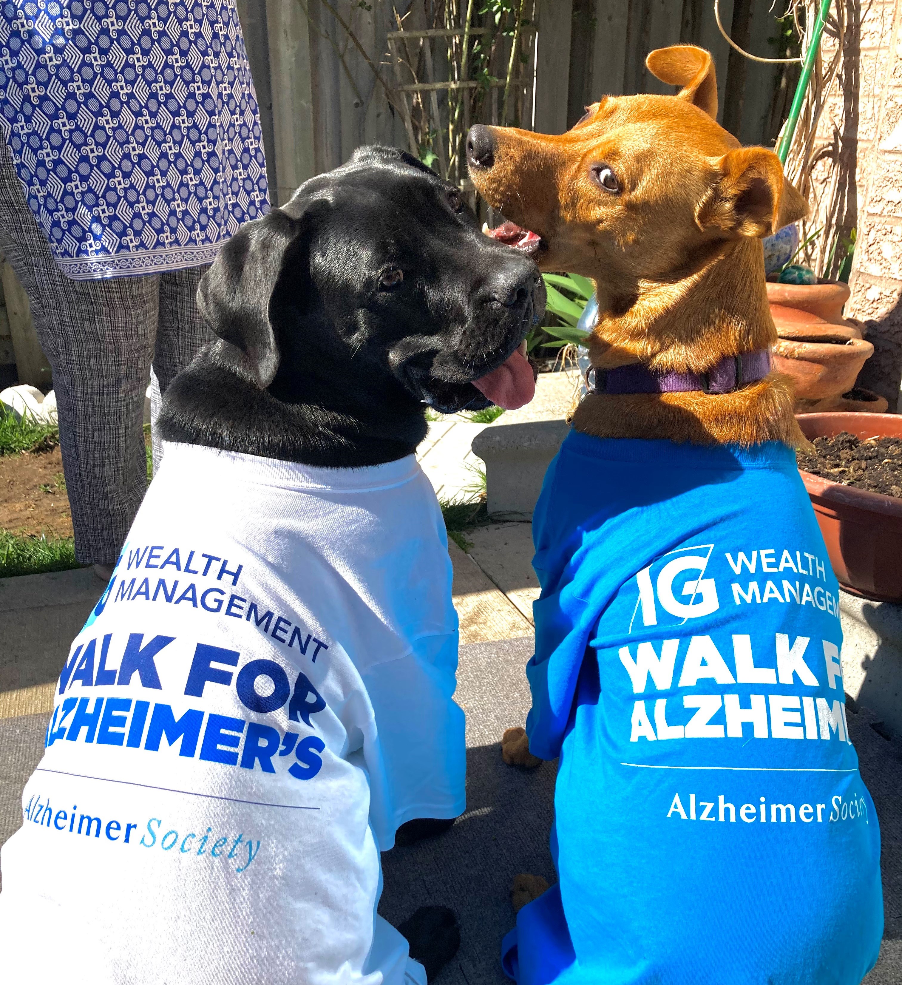 Dog friends wearing IG Wealth Management Walk for Alzheimer's t-shirts