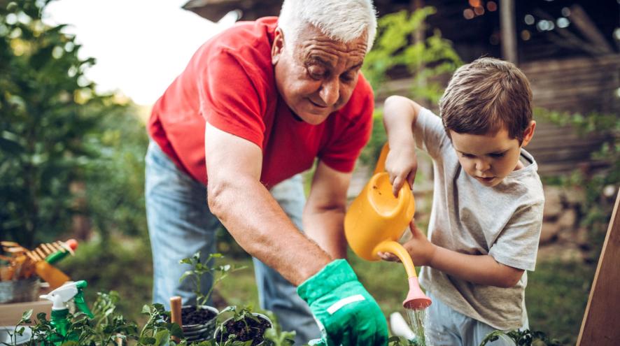 Grandparent and grandchild gardening