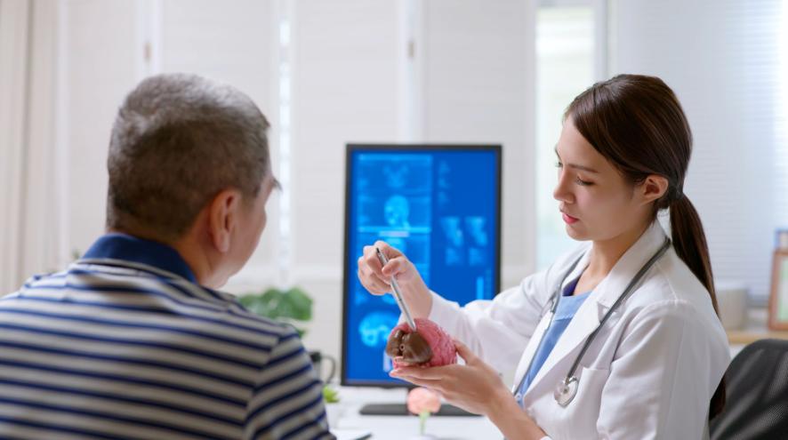 A woman holds a brain prop and uses it to show something to a patient, who is an older man