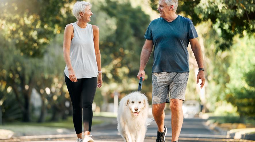 Older man and older woman walking a dog outdoors