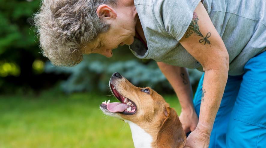 A woman with short grey hair smiles and leans over a brown and white dog