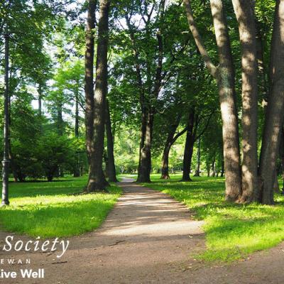 A local park setting with three walking paths to choose from.