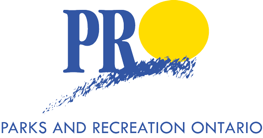 2013 pro logo