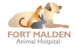 Battle of the Brains Trivia Night 2025