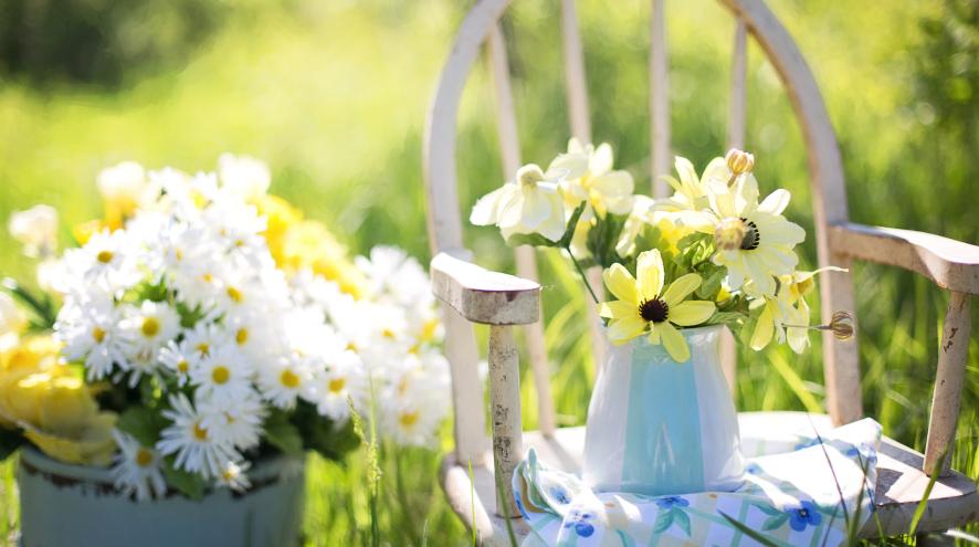 Spring View of Flowers on Chair and in Bucket