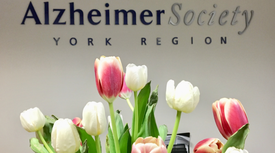 Welcome centre of the Aurora office with the logo on the wall and pink and white tulips on the desk