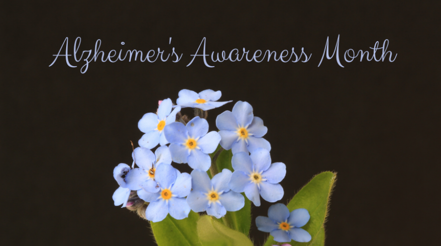 A clump of blue forget-me-not flowers with yellow centres surrounded by green leaves.